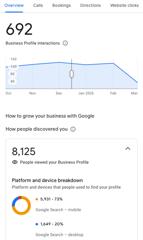Google Business Profile Performance